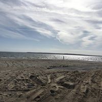 Carolynne Flanagan's profile image