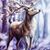Lisa Wilson's profile image