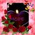 Uschi Widdercat Schmidt's profile image