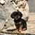 Janell Marie's profile image