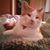 Jenn Robinson's profile image