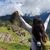 Sherry Mobley's profile image
