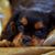 Shauna Parsons Freidel's profile image
