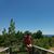 Ellen Mutter's profile image