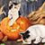 Renee Robson's profile image
