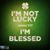 Dina Clower's profile image