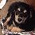 Marsha Snyder's profile image