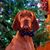 Amy Balogh Warner's profile image