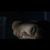 Sebastian Chacaliaza Cuyan's profile image
