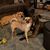 Holly Schmid Keyser's profile image