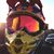 Quique Quiroz's profile image