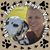 Amy Potter Losh's profile image