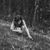 Tess Davis's profile image