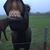 Cindi Rainwater's profile image