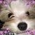 Vera Bell Dennis's profile image