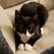 Eric Scheib's profile image