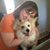 Kelly Birch-Holkesvik's profile image