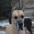 Jackie Van Delft's profile image