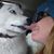 Michelle Boggs Dobson's profile image