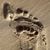 Chris Crawl's profile image