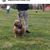 Victor Rivera's profile image