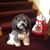 Joanie Coontz Kenning's profile image