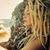 Samantha Theil's profile image