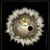 Stephen Manz's profile image