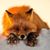Nancy Dorgan-Beebe's profile image