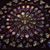 Andrea Bettinger's profile image