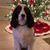 Christina Pavlock Tougas's profile image
