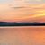 Gina Feltner Bouws's profile image