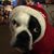 Peggy Oberg's profile image