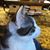 Deborah McDougall's profile image