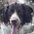 Natalie Hodnett's profile image
