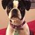 Christine Schifini's profile image