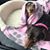 Tammy M. Phillips's profile image