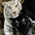 Dawn Marie Johnson's profile image