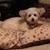 Thelma Landon's profile image