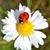 Kimberly Berry's profile image