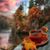 Naomi Stoltzfus's profile image