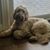 Gail Wehunt's profile image