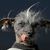 Nedra Williams's profile image