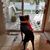 Angie Galley Cook's profile image