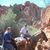 Annette Adair Murri's profile image