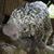 Samantha Kerns Sassone's profile image
