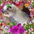 Dulce Diaz's profile image