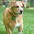 Julie Seiler's profile image