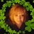 Brenda Morales's profile image
