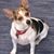Sandy Jackson Reid's profile image